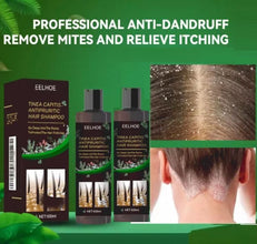 Tinea Capitis Antipruritic Hair Shampoo 100ml Each (Pack of 2)