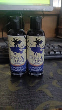 Trick Or Treat Purple Shampoo 100 gm (Pack of 2)